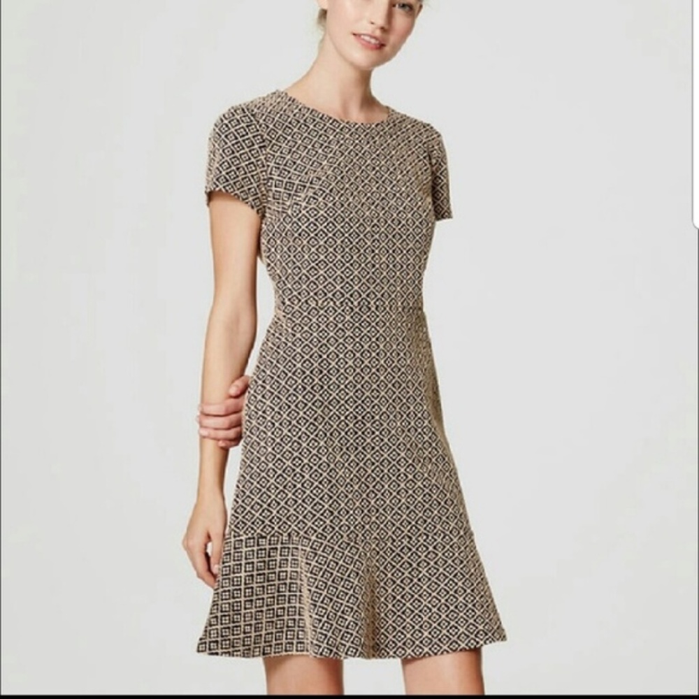 Ann Taylor Loft Jacquard Flounce Dress
